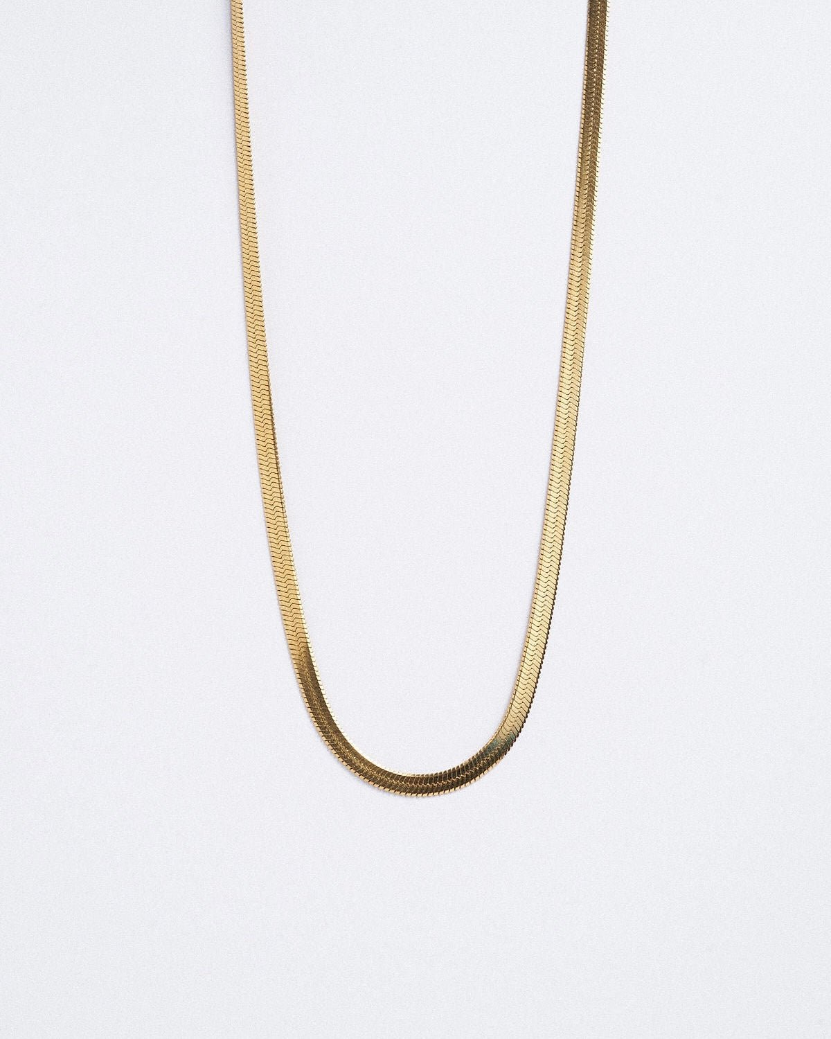 8C78698A-3E84-4CEE-9371-D569D1EB366B